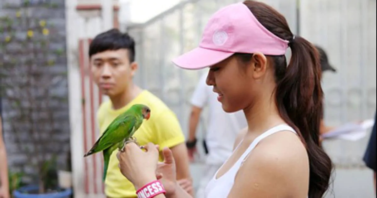 vet nguc hong5