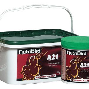 thức ăn dinh dưỡng dành cho chim dạng bột nutribird a21