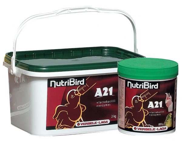 thức ăn dinh dưỡng dành cho chim dạng bột nutribird a21