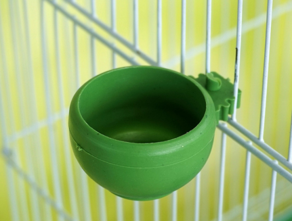 Plastic Food Bowl