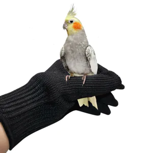 Cloth Protection Gloves