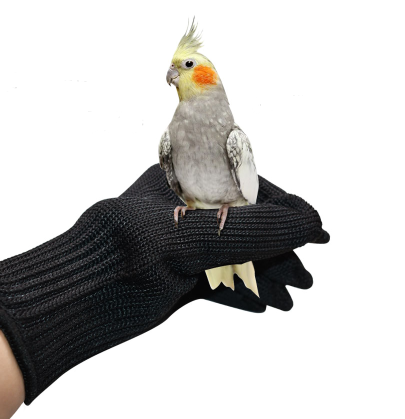 Cloth Protection Gloves