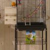 Parrot cages
