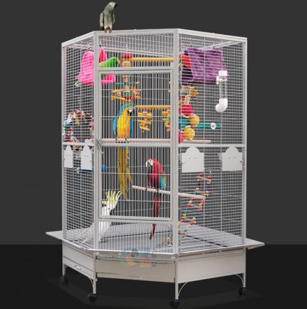 Imported parrot cage
