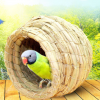 Straw Bird Nest