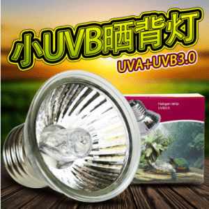 UVA UVB light