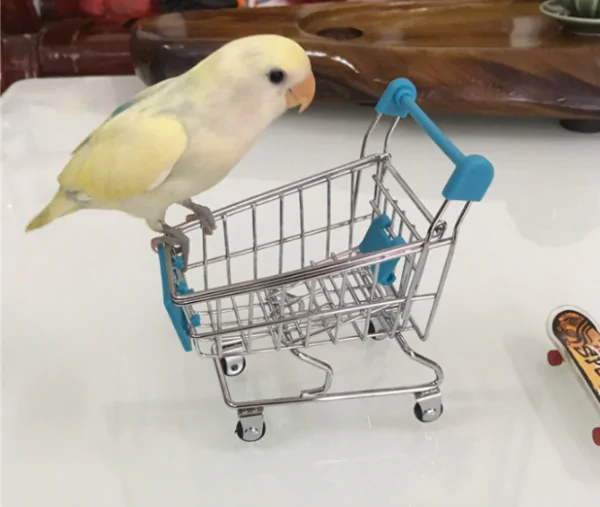 Supermarket Trolley