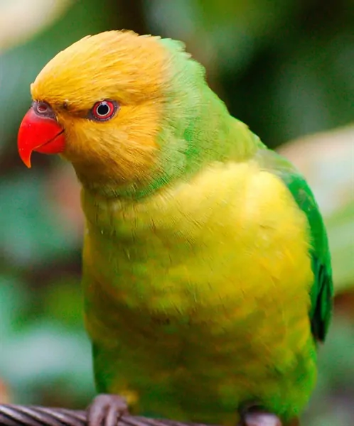 Ảnh sản phẩm