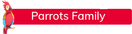 parrots family