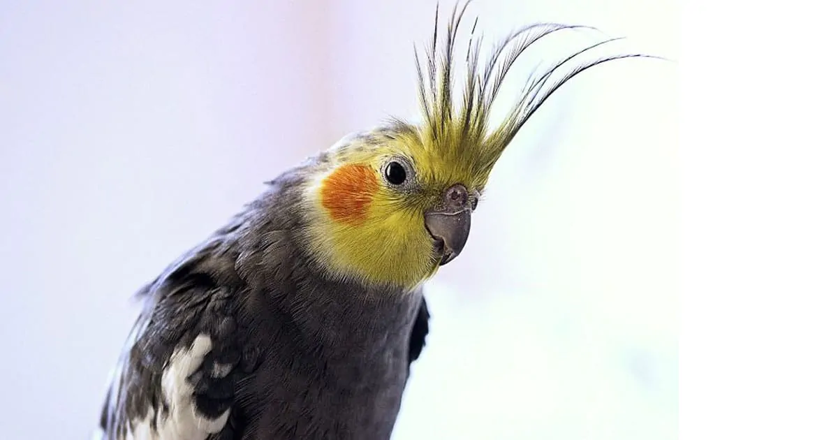70 1