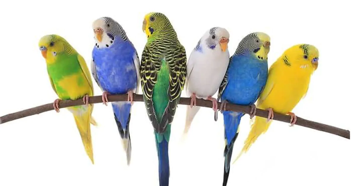 72 1