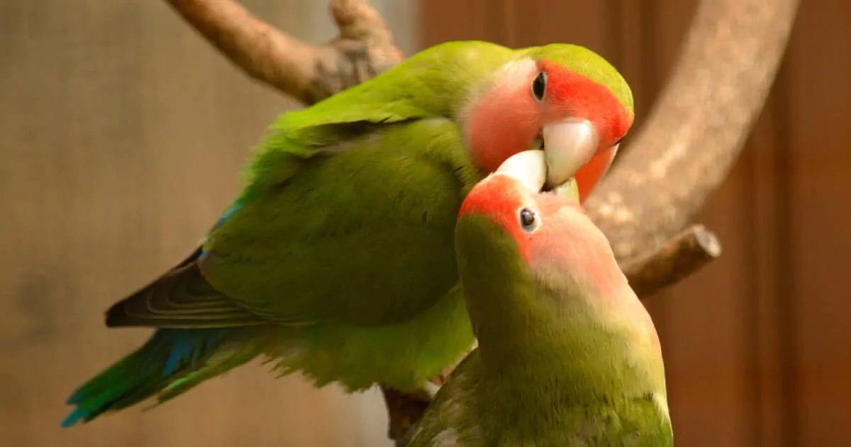 75 1