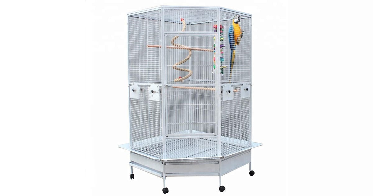 the-secret-to-preparing-the-cage-for-macaw-parrots-you-should-know