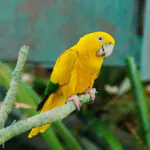 Hình ảnh Sản phẩm Tiếp theo